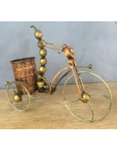 Bicicleta Botella